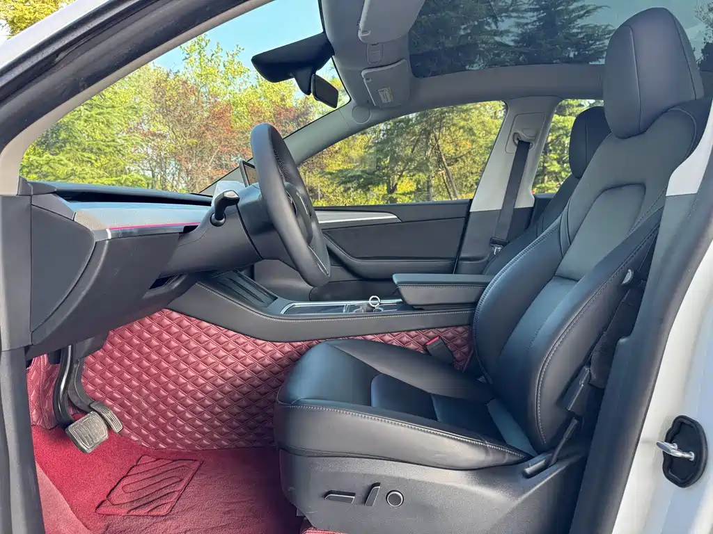Tesla Model Y — миниатюра 8