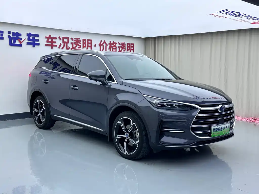 BYD Tang New Energy — миниатюра 2