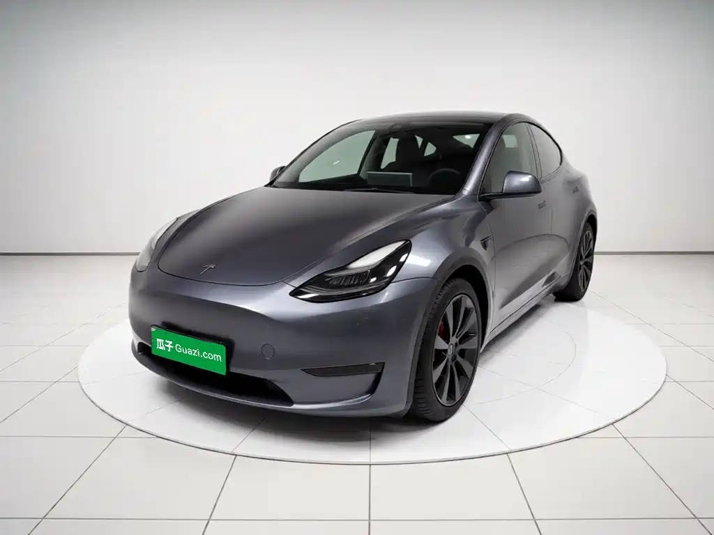 Tesla Model Y — миниатюра 2
