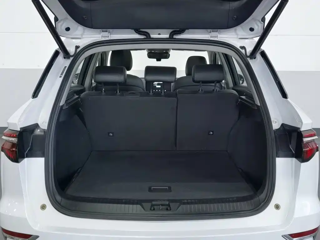 BYD Pro New Energy — миниатюра 16