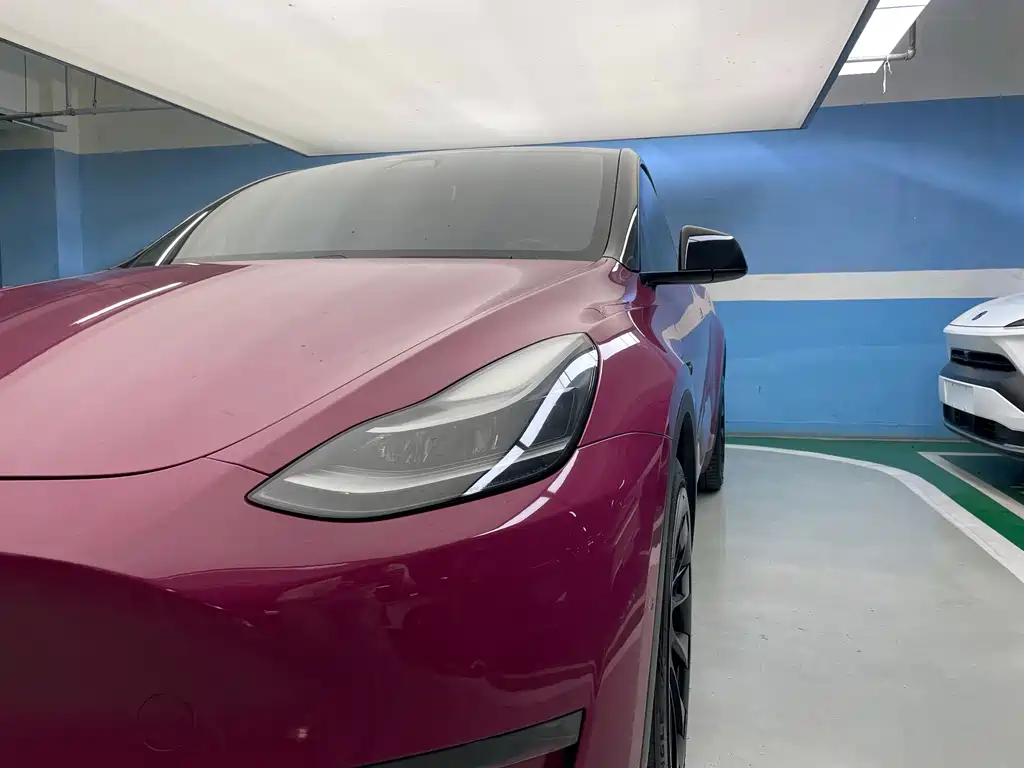 Tesla Model Y — миниатюра 5