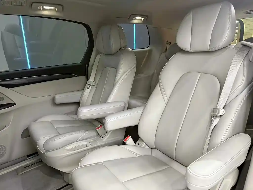 Buick GL8 — миниатюра 10