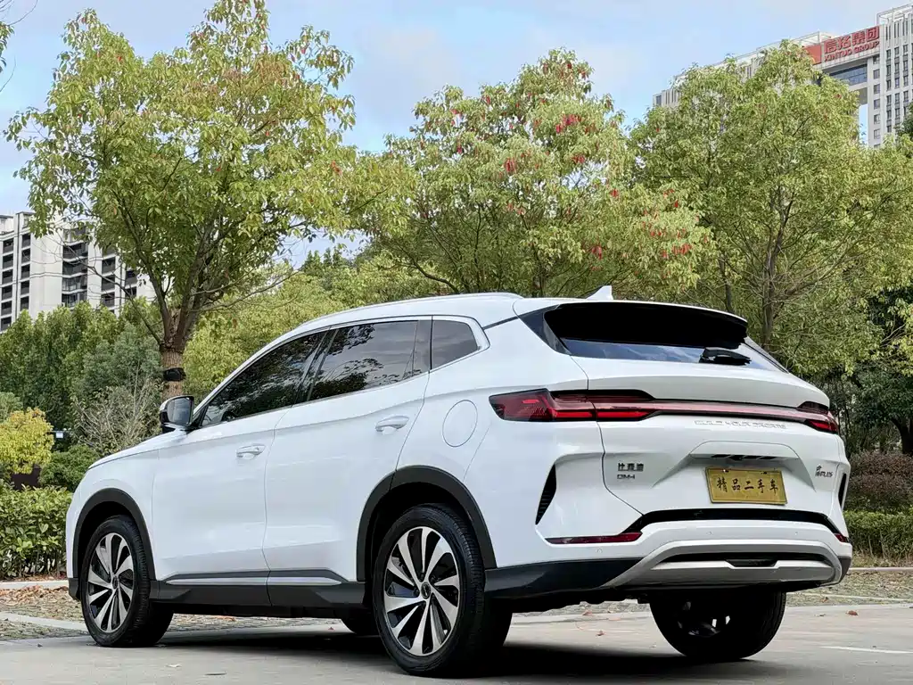 BYD PLUS New Energy — миниатюра 7