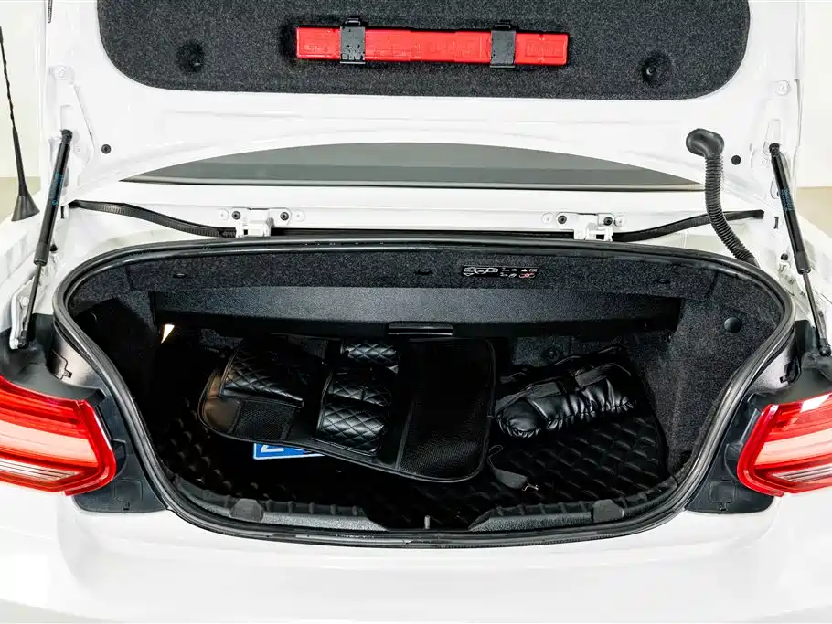 BMW 2 Series (Import) — миниатюра 23