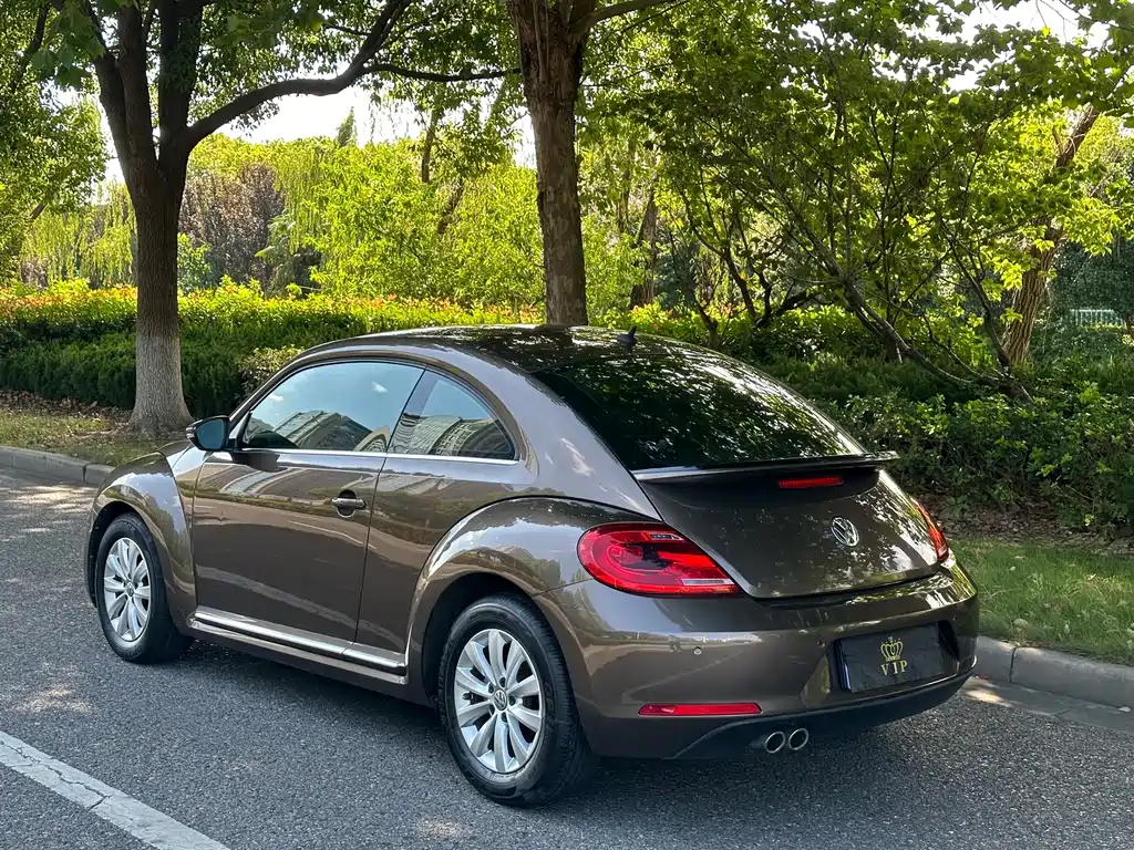 Volkswagen Beetle — миниатюра 19