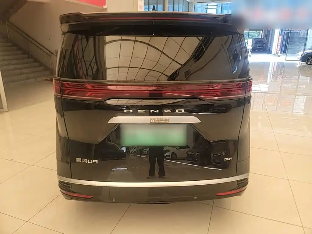 Denza Denza D9 — миниатюра 6