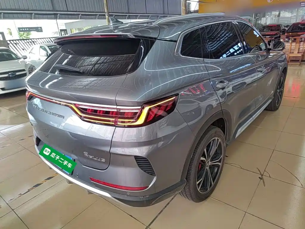 BYD PLUS — миниатюра 7