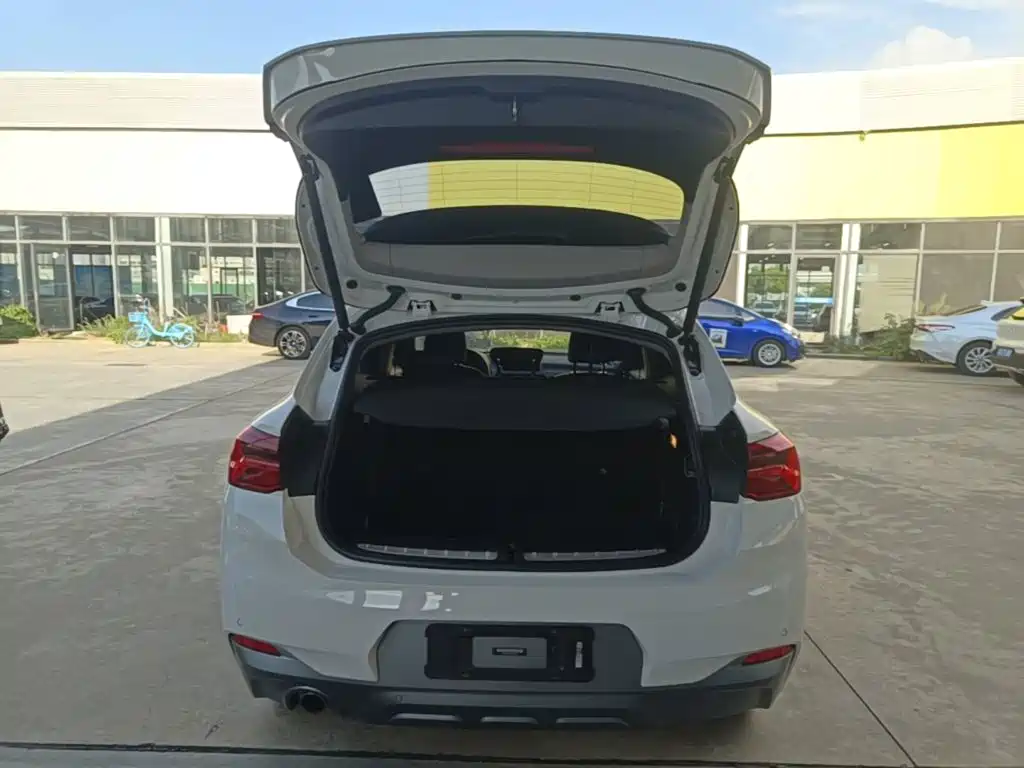 BMW X2 (Import) — миниатюра 19