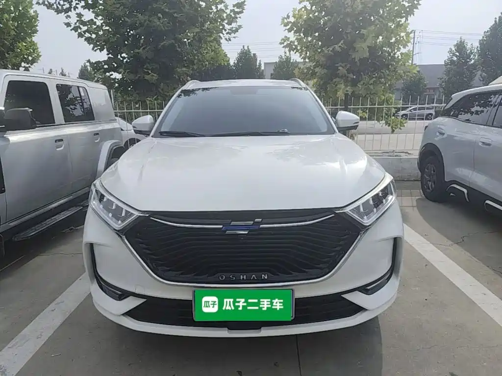 Oshan Oushang X7 — миниатюра 3