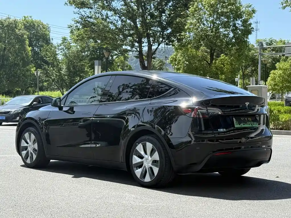 Tesla Model Y — миниатюра 8