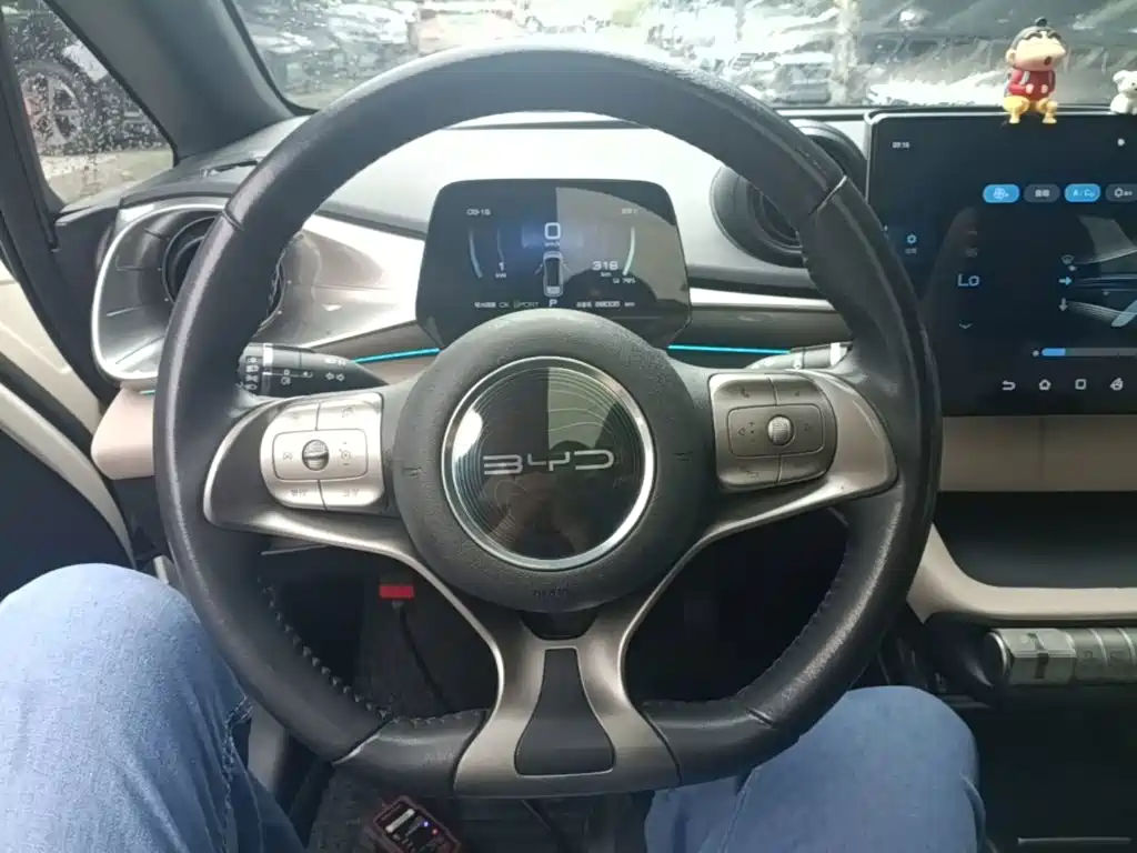 BYD Dolphin — миниатюра 11