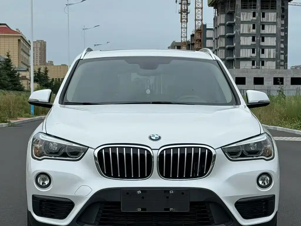 BMW X1 — миниатюра 2