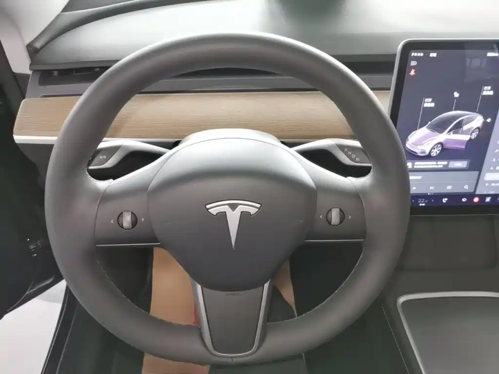 Tesla Model Y — миниатюра 11