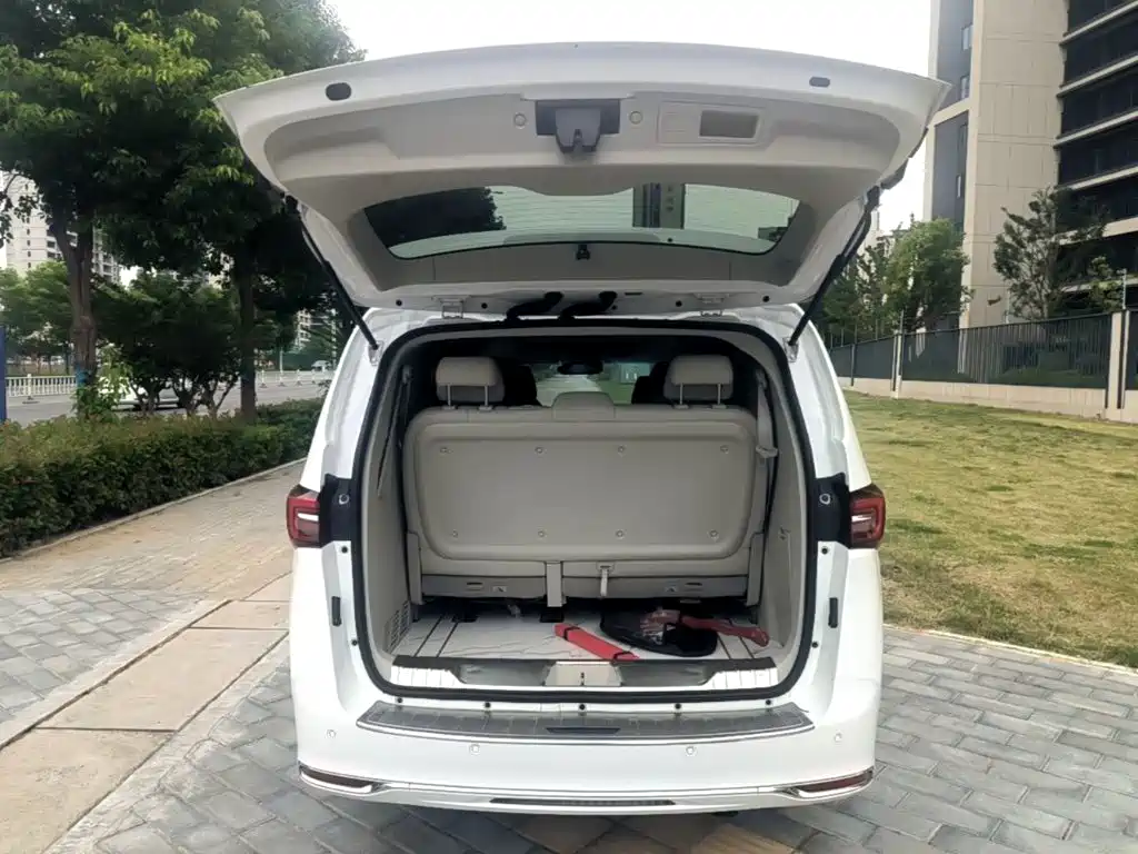 Buick GL8 — миниатюра 19