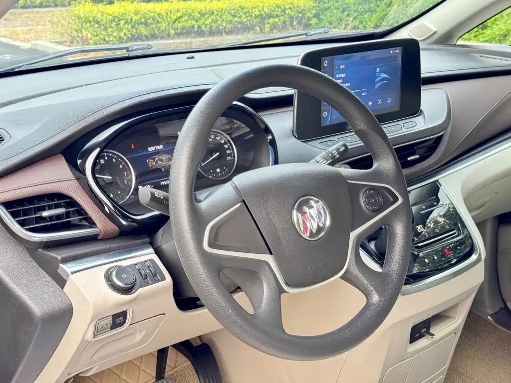 Buick GL8 — миниатюра 15