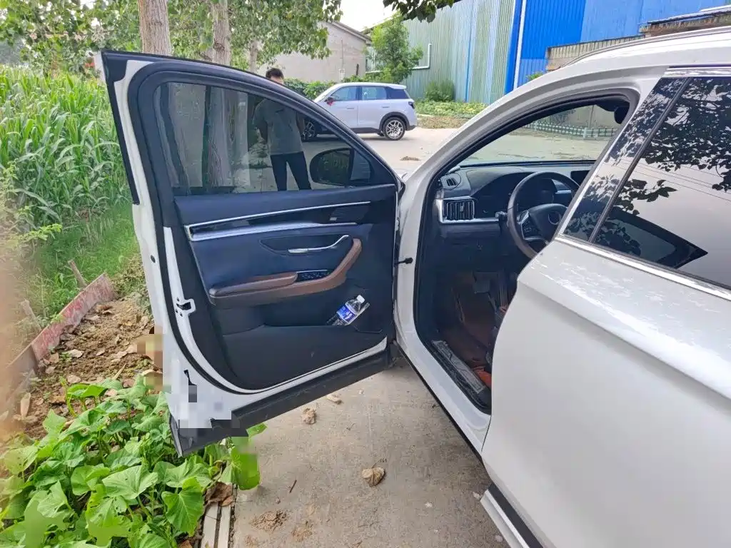 BYD PLUS — миниатюра 12