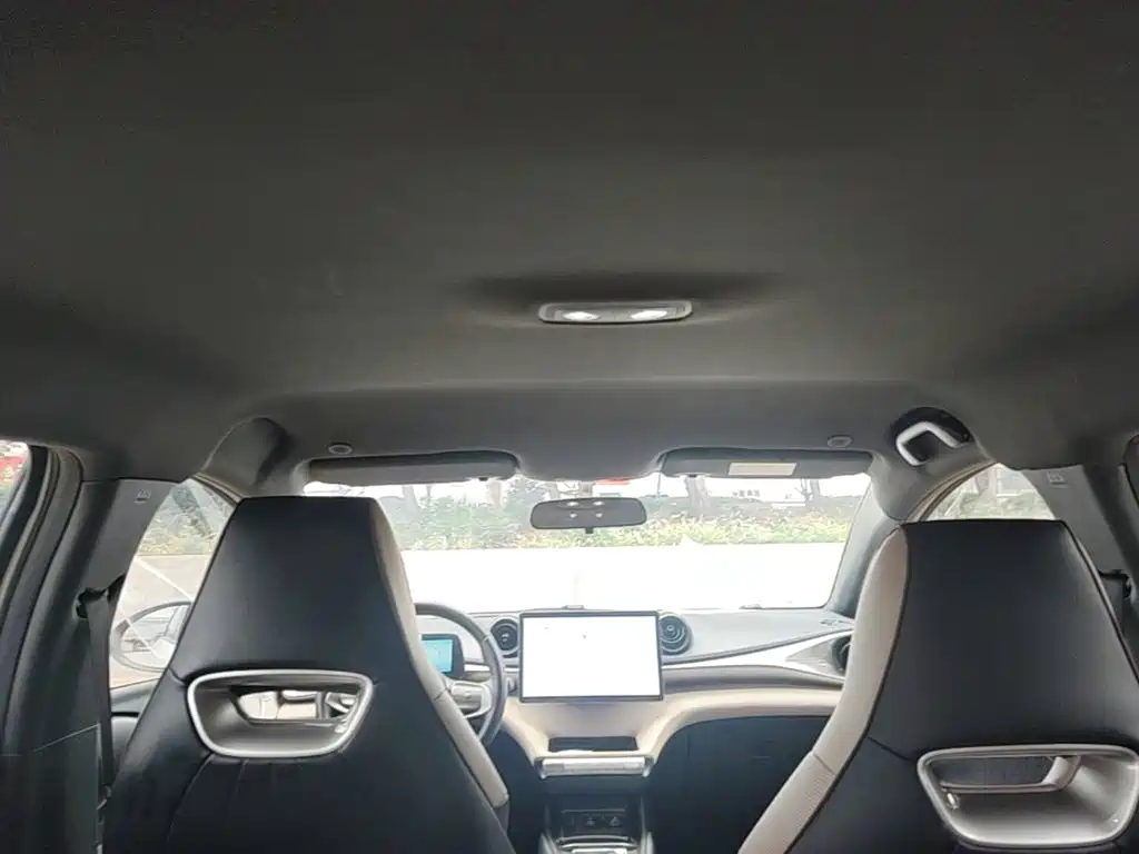 BYD Dolphin — миниатюра 18