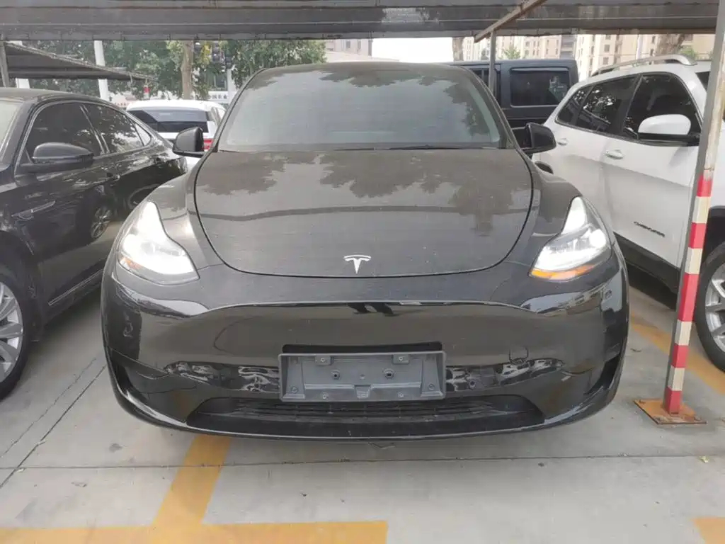 Tesla Model Y — миниатюра 3