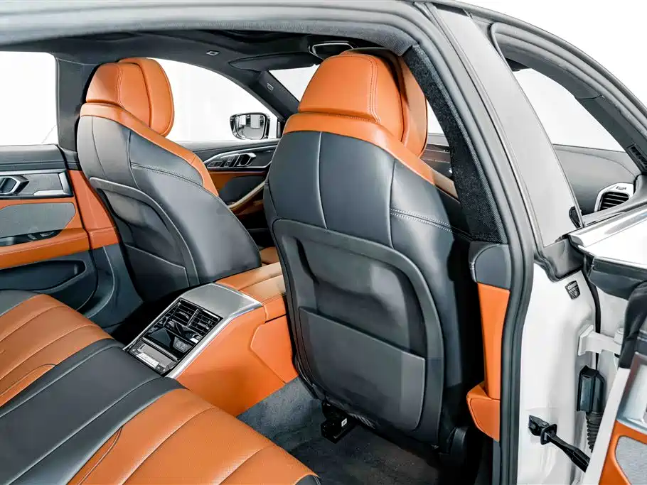 BMW 8 Series — миниатюра 20