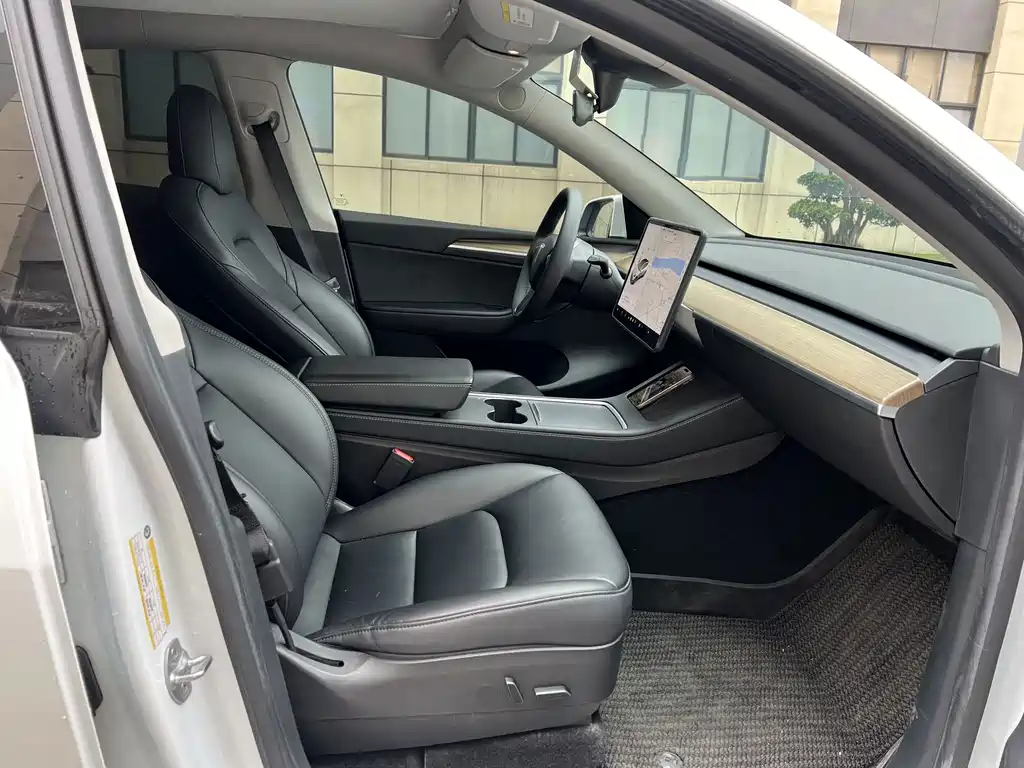 Tesla Model Y — миниатюра 4