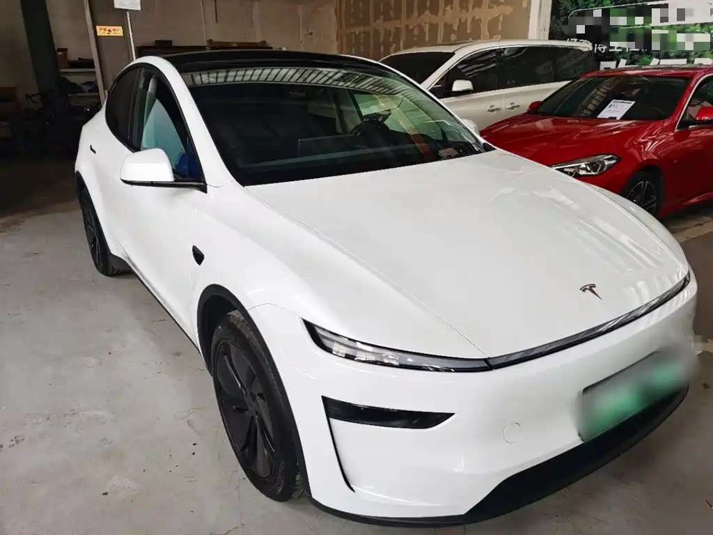Tesla Model Y — миниатюра 4