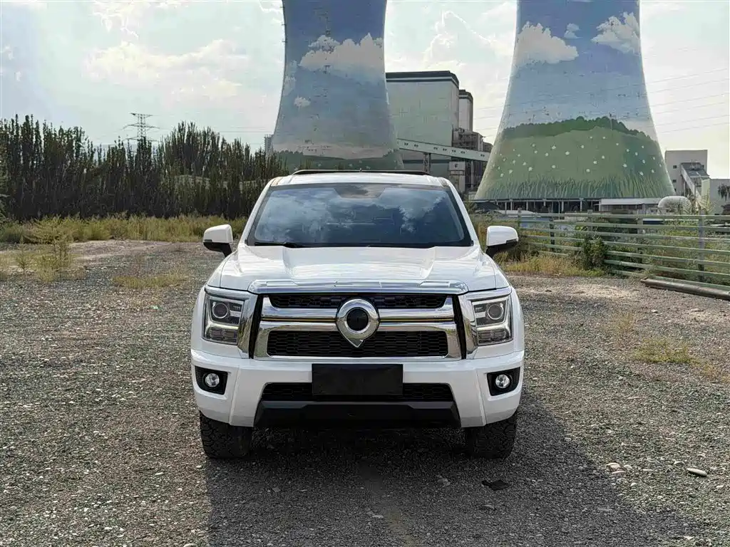 Great Wall King Kong Pao — миниатюра 2