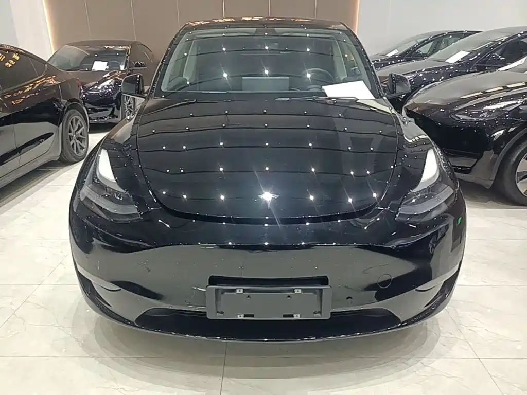 Tesla Model Y — миниатюра 3