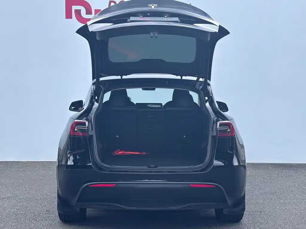Tesla Model Y — миниатюра 8
