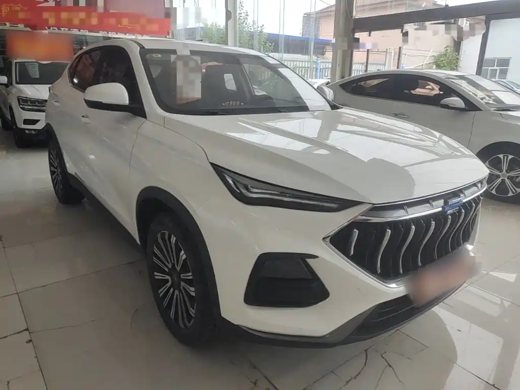 Oshan Oushang X5 — миниатюра 4