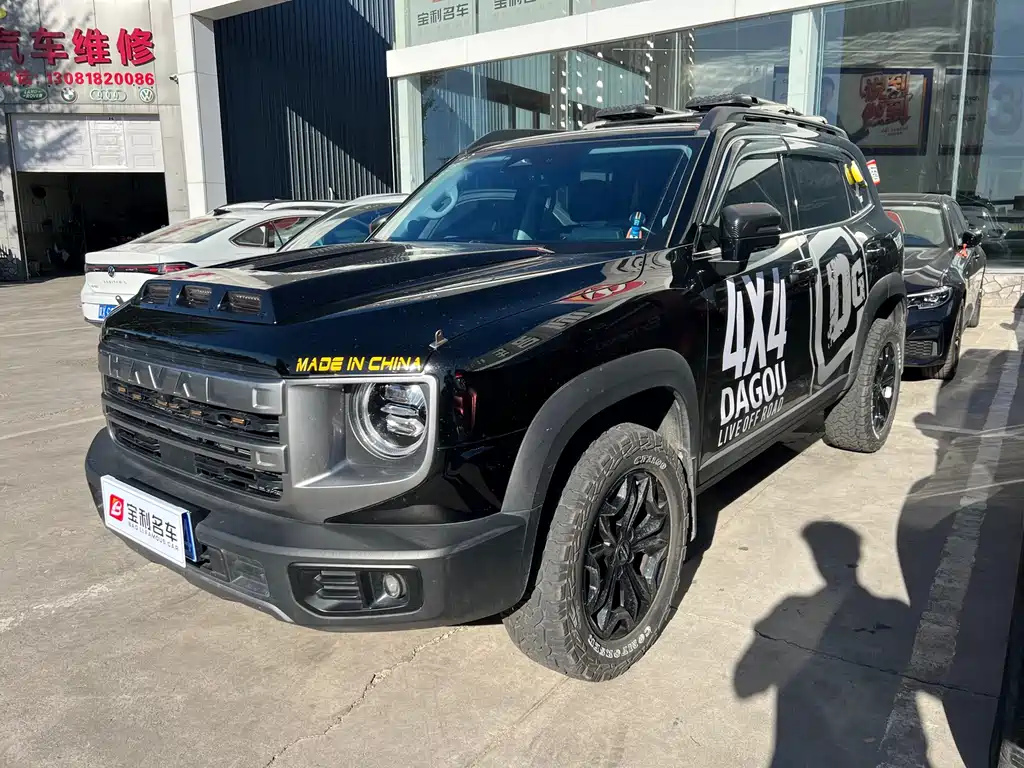 Haval Big Dog