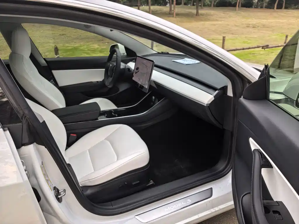 Tesla Model 3 — миниатюра 7