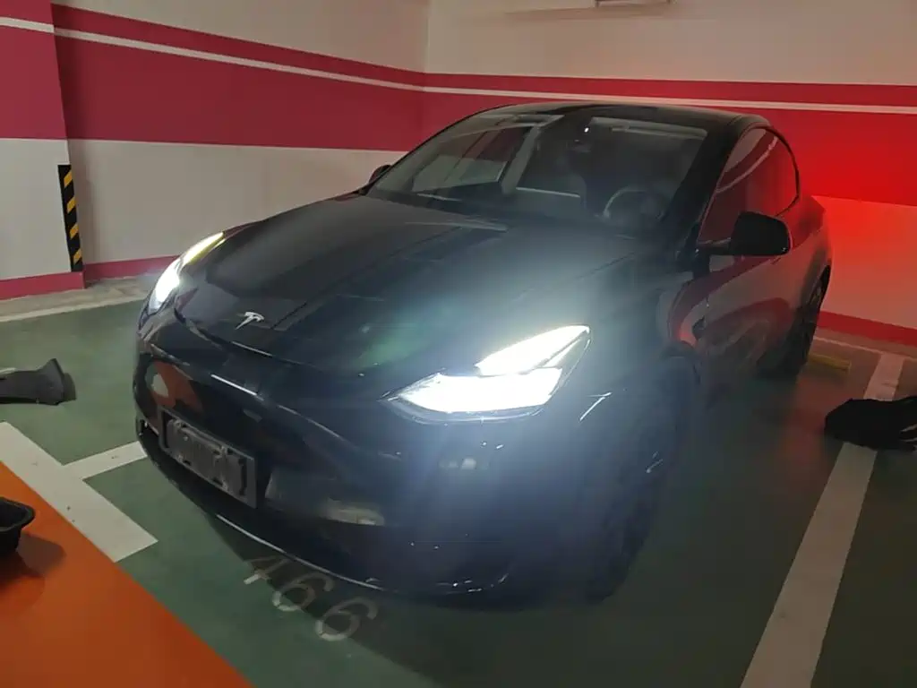 Tesla Model Y — миниатюра 2