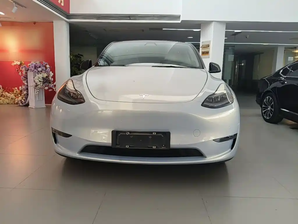 Tesla Model Y — миниатюра 3