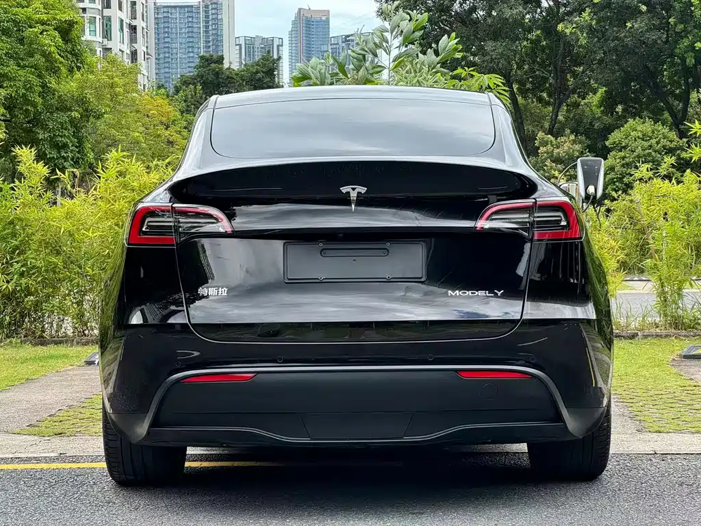 Tesla Model Y — миниатюра 5