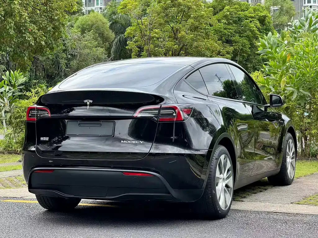 Tesla Model Y — миниатюра 6