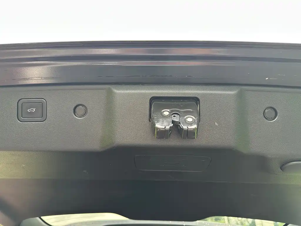 Haval Big Dog — миниатюра 18