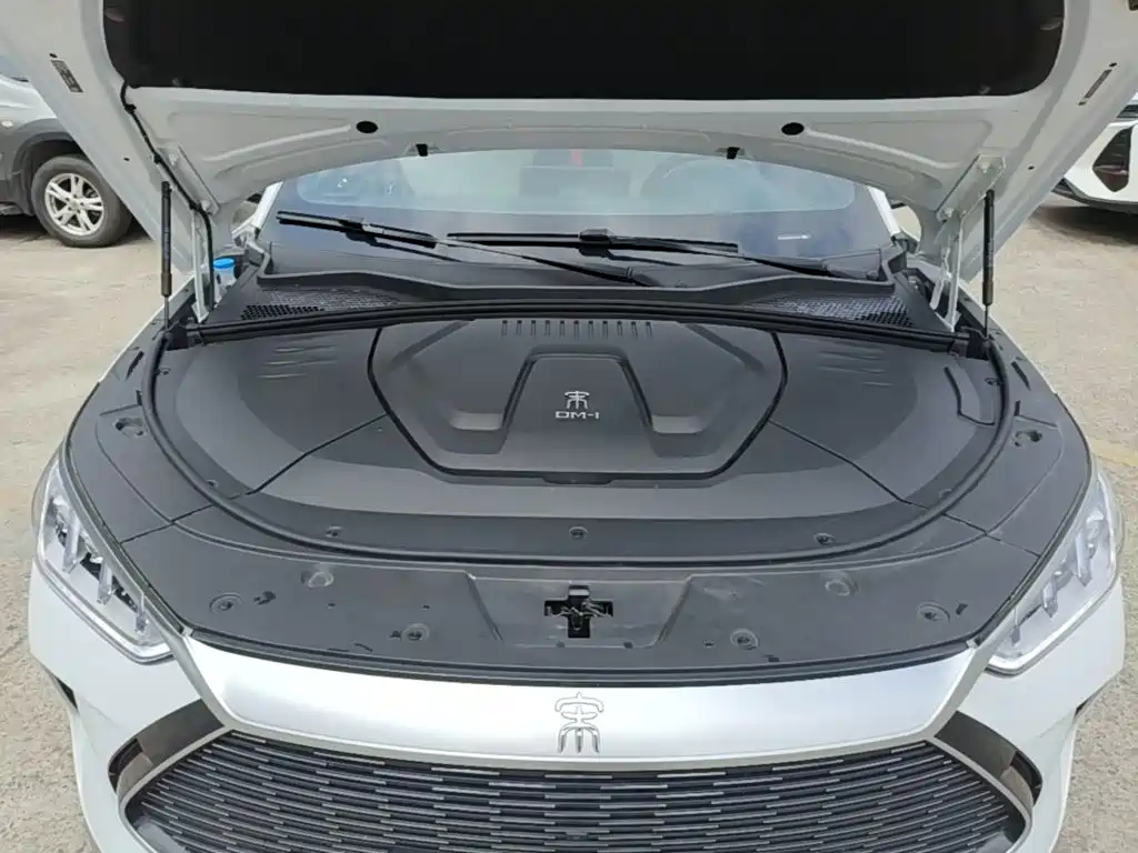 BYD PLUS New Energy — миниатюра 20