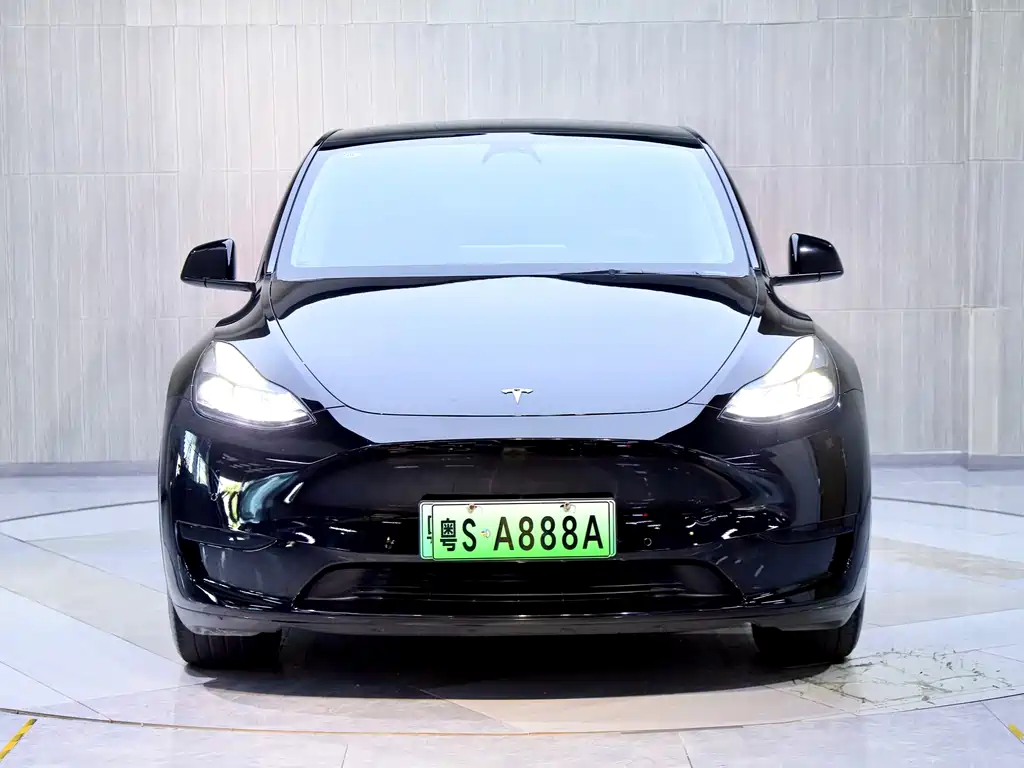 Tesla Model Y — миниатюра 2
