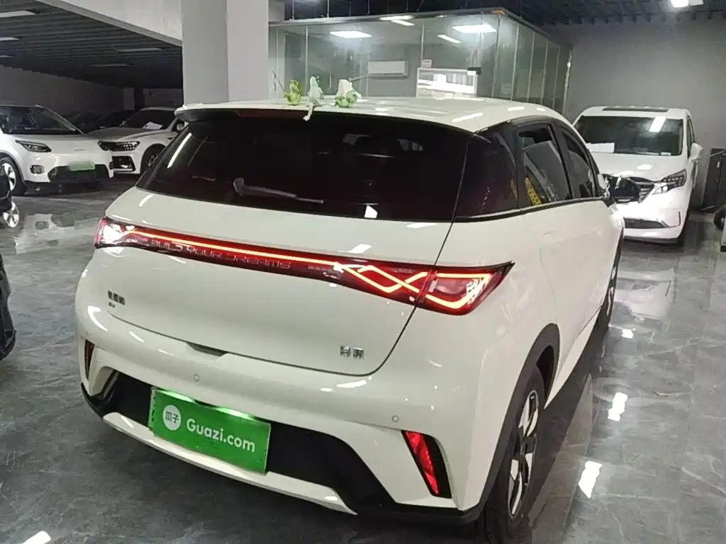 BYD Dolphin — миниатюра 7
