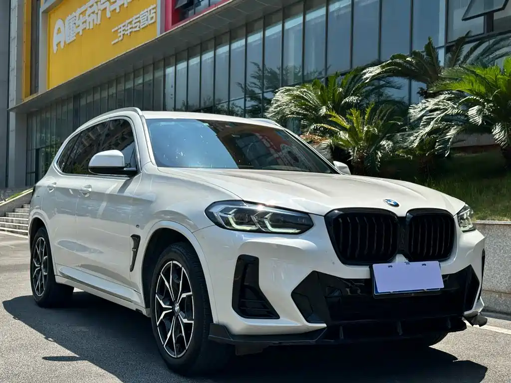 BMW X3 — миниатюра 3