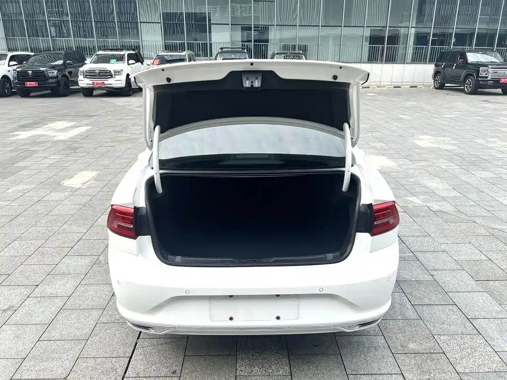 Volkswagen Lamando — миниатюра 15
