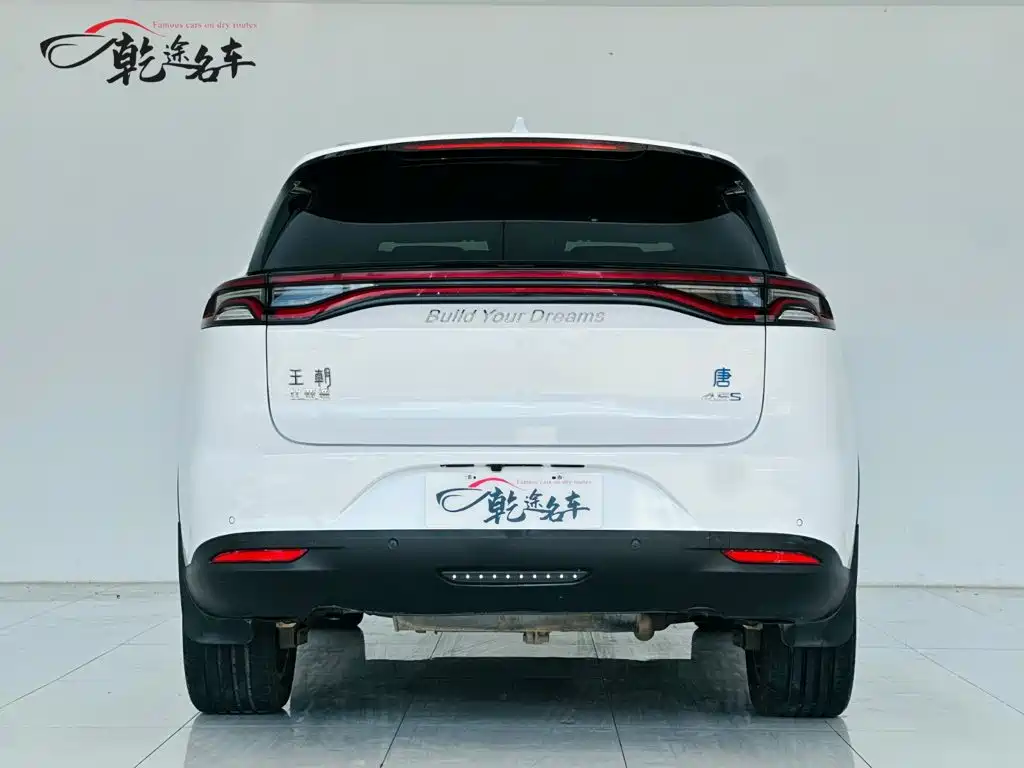 BYD Tang New Energy — миниатюра 6