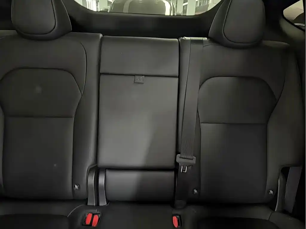 Tesla Model Y — миниатюра 5