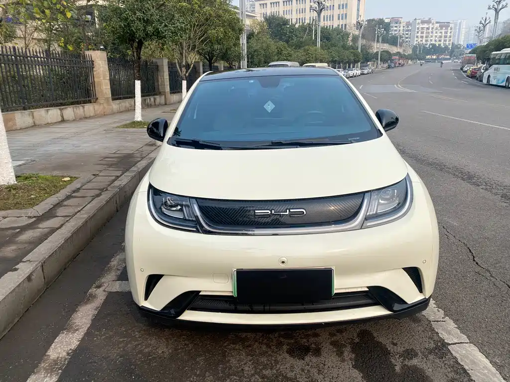 BYD DOLPHIN