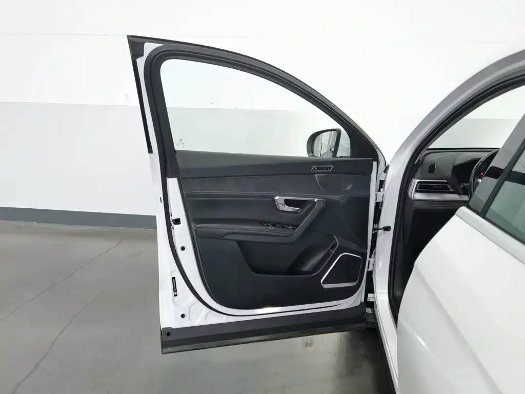 BYD Pro New Energy — миниатюра 8