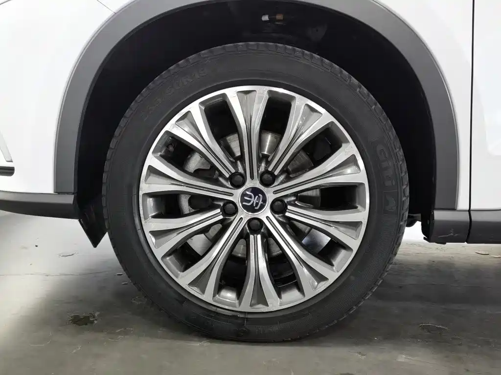 BYD Pro New Energy — миниатюра 17