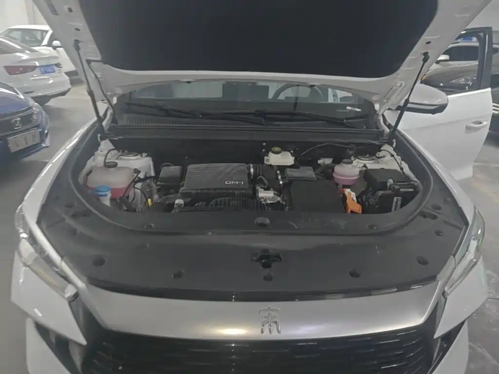 BYD Pro New Energy — миниатюра 20