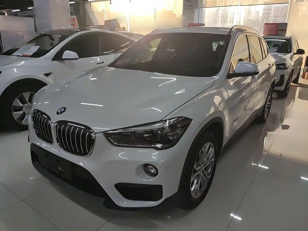 BMW X1 — миниатюра 2