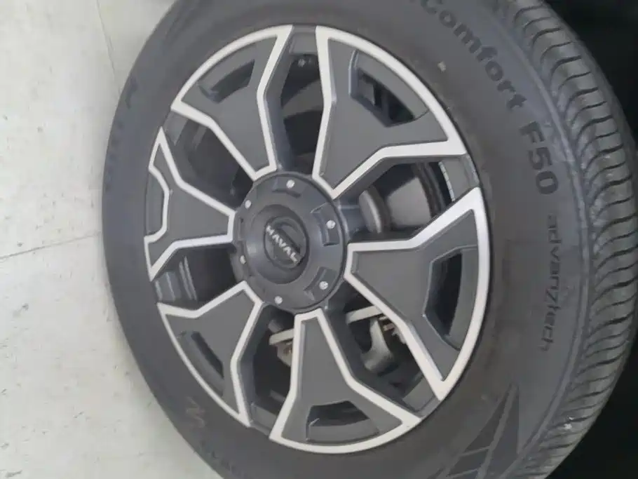 Haval Big Dog PLUS New Energy — миниатюра 6