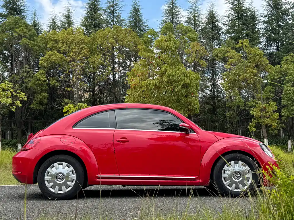 Volkswagen Beetle — миниатюра 12